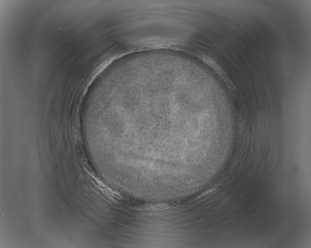 X0000080721023200701121838