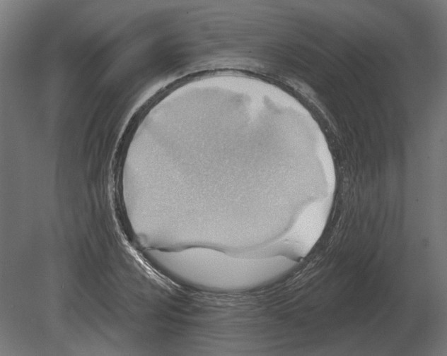 X0000080721024200701121838