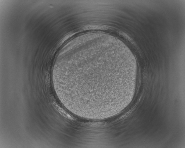 X0000080721025200701121838