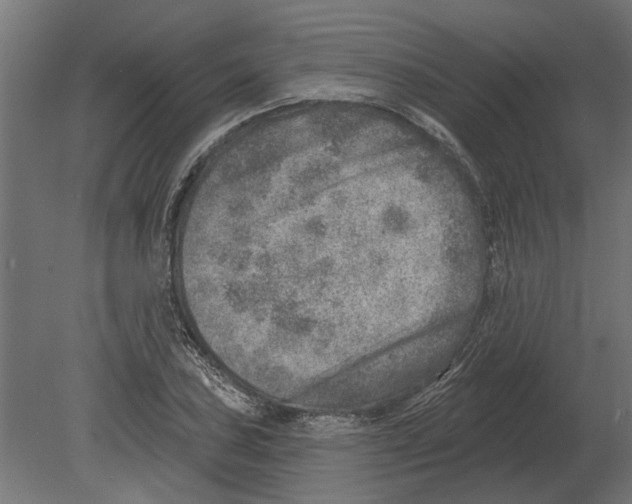 X0000080721027200701121838