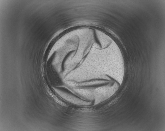 X0000080721029200701121838