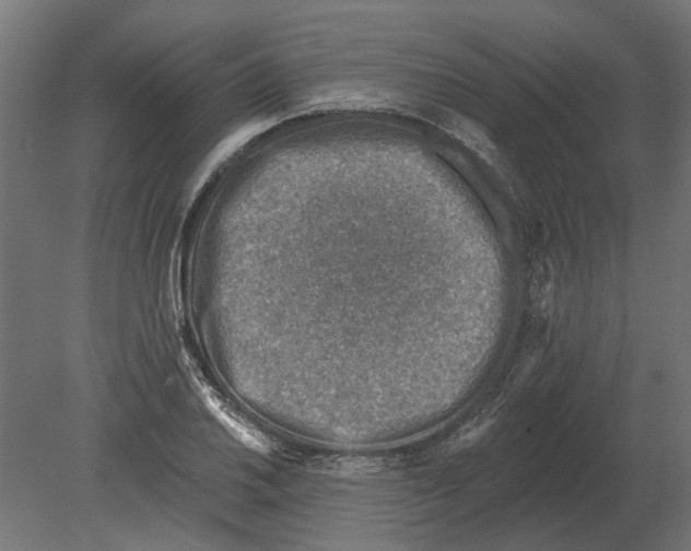 X0000080721030200701121838