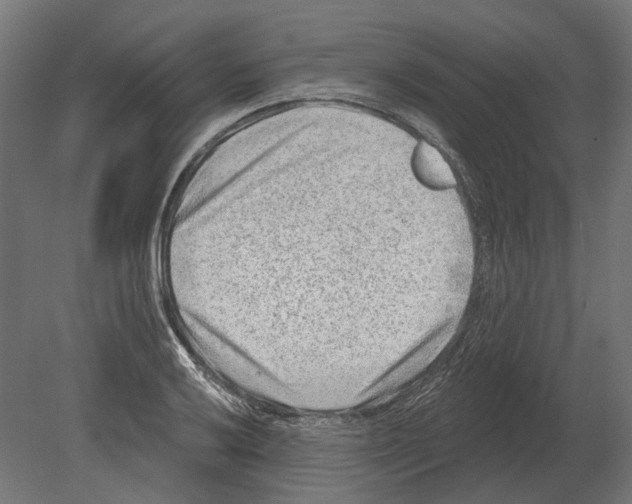 X0000080721032200701121838