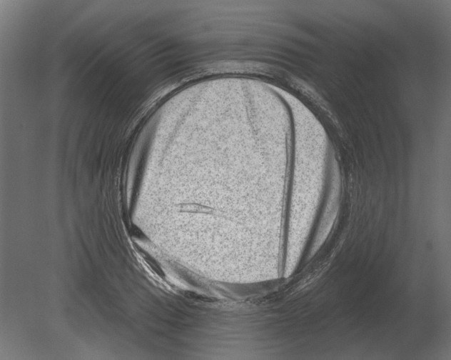 X0000080721033200701121838