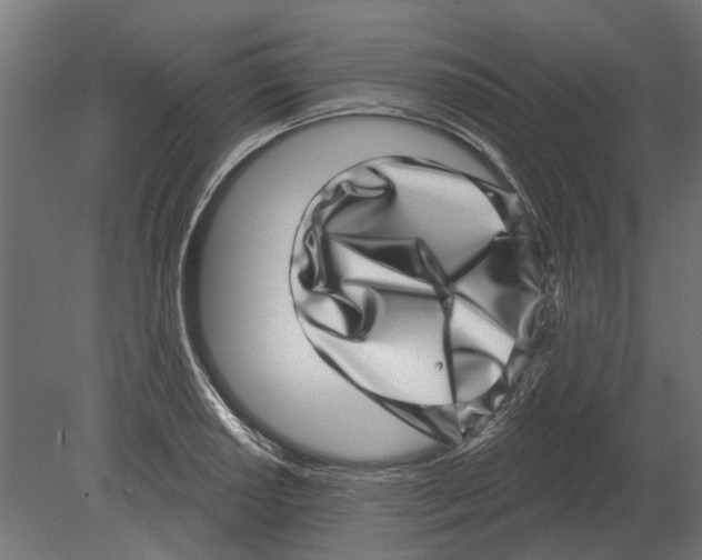 X0000080721034200701121838