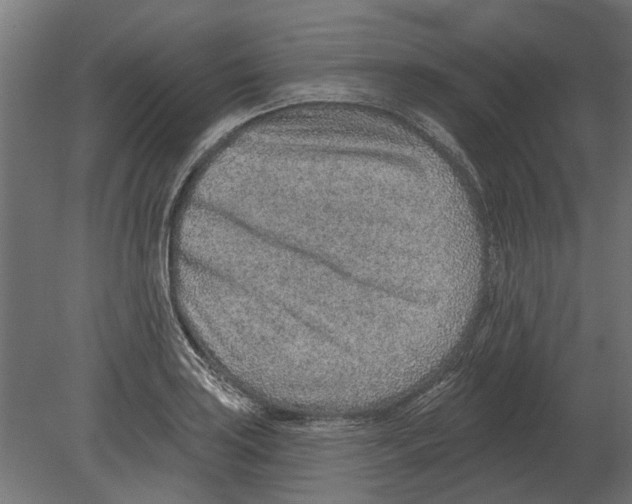 X0000080721035200701121838