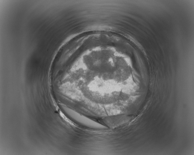 X0000080721037200701121838