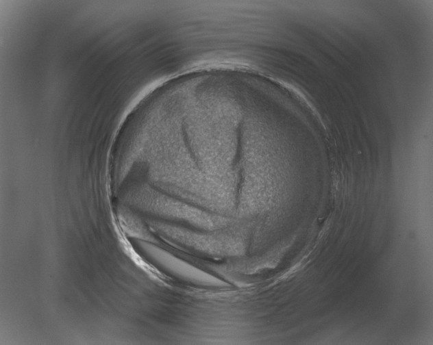 X0000080721038200701121838