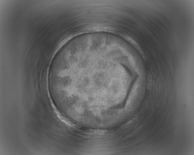 X0000080721039200701121838