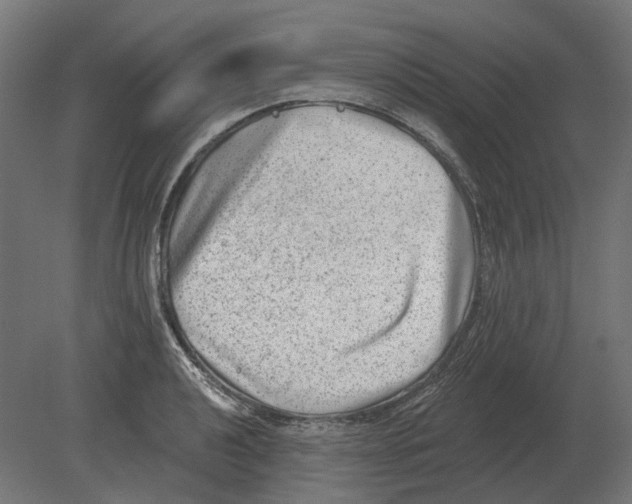 X0000080721040200701121838