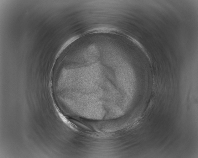 X0000080721042200701121838