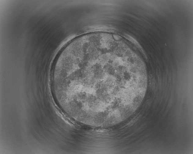 X0000080721043200701121838