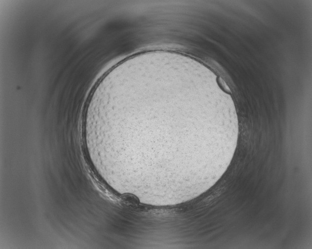 X0000080721044200701121838