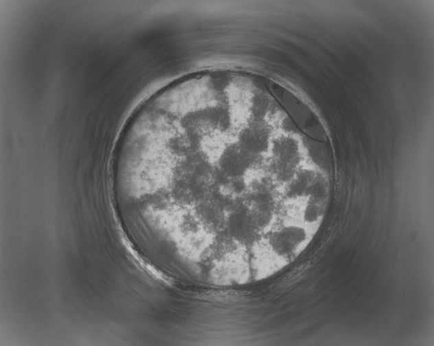 X0000080721045200701121838