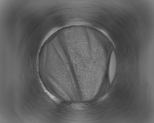 X0000080721046200701121838