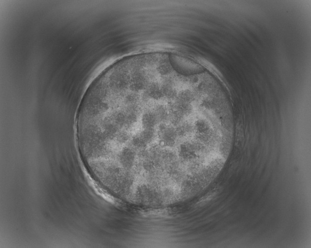 X0000080721047200701121838