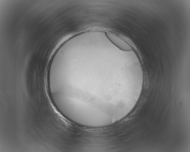 X0000080721048200701121838