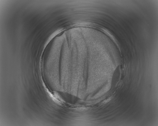 X0000080721050200701121838