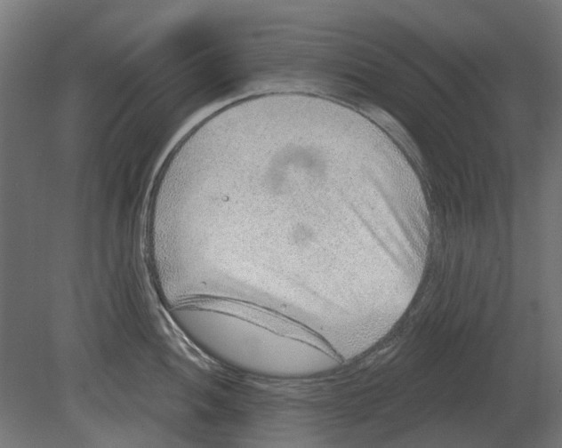 X0000080721052200701121838