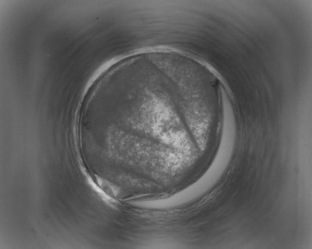 X0000080721054200701121838