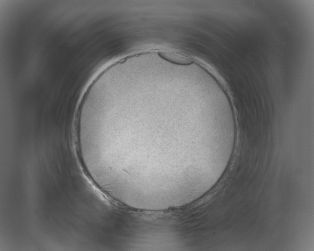 X0000080721056200701121839