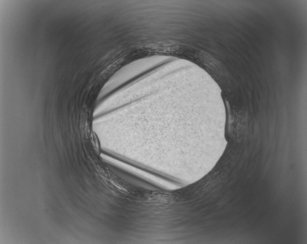 X0000080721058200701121838