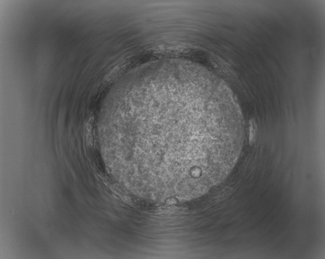 X0000080721059200701121838