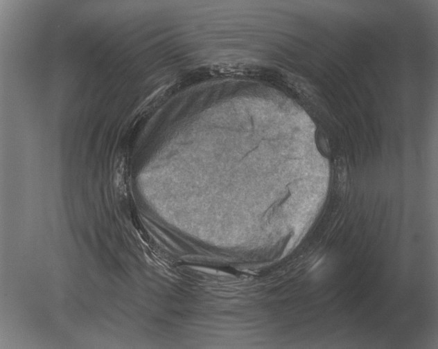 X0000080721060200701121838