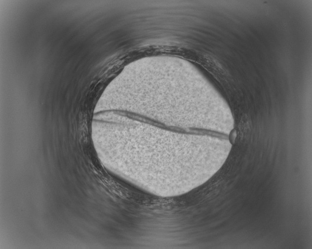 X0000080721062200701121838