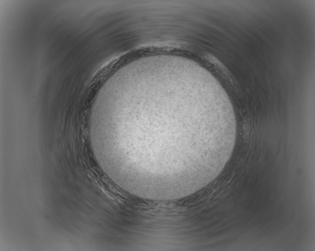 X0000080721064200701121838