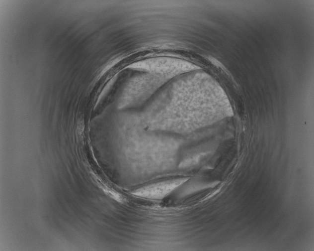 X0000080721065200701121838