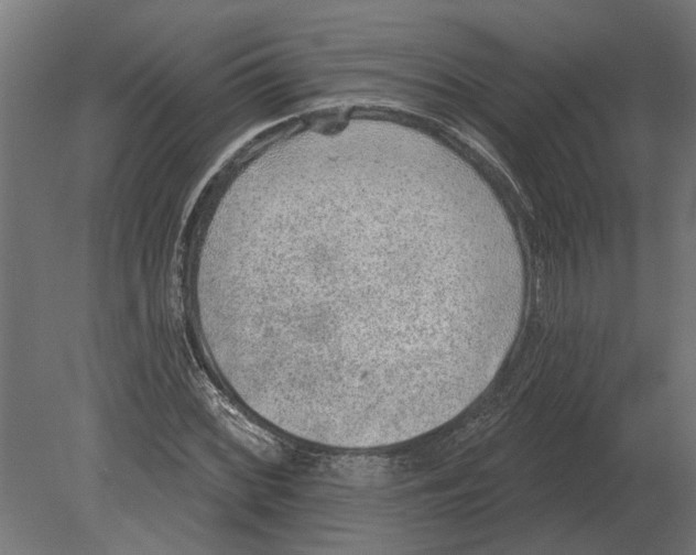 X0000080721068200701121838