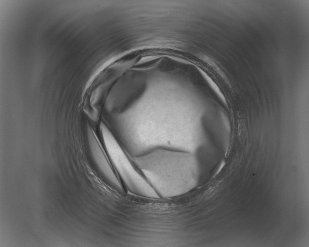 X0000080721069200701121837