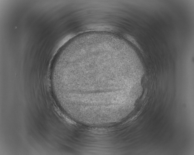 X0000080721071200701121837