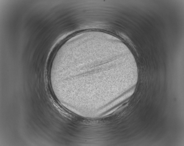 X0000080721072200701121837