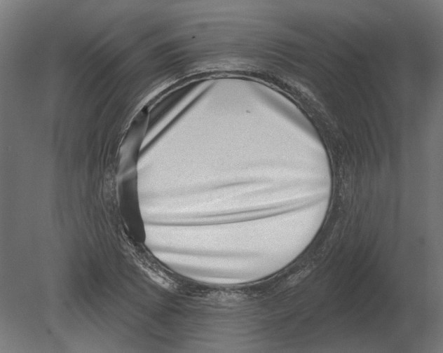 X0000080721073200701121837