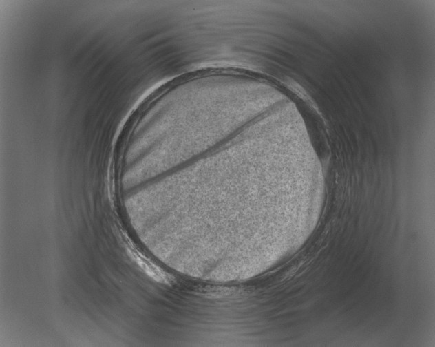 X0000080721076200701121837