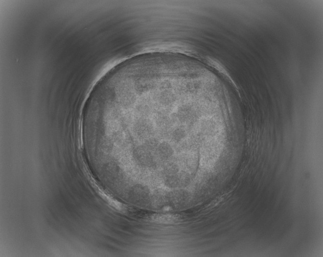 X0000080721079200701121837