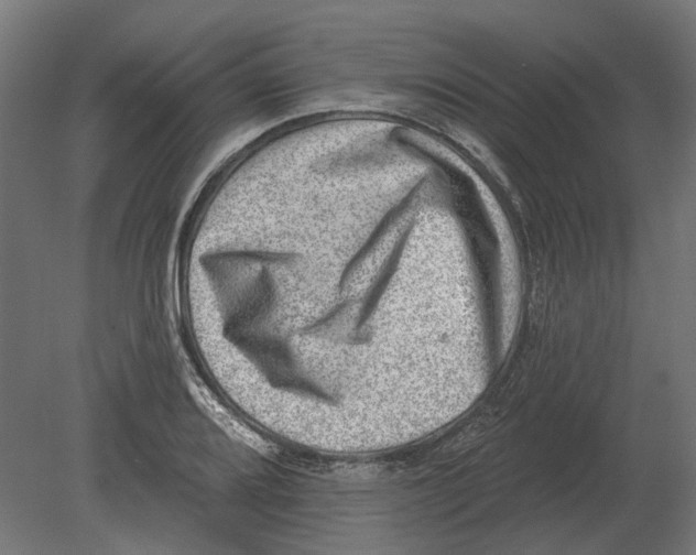 X0000080721080200701121837