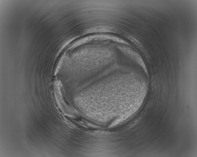 X0000080721081200701121837