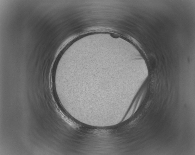 X0000080721082200701121837