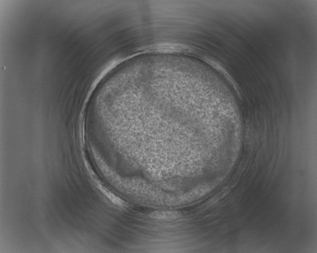 X0000080721083200701121837