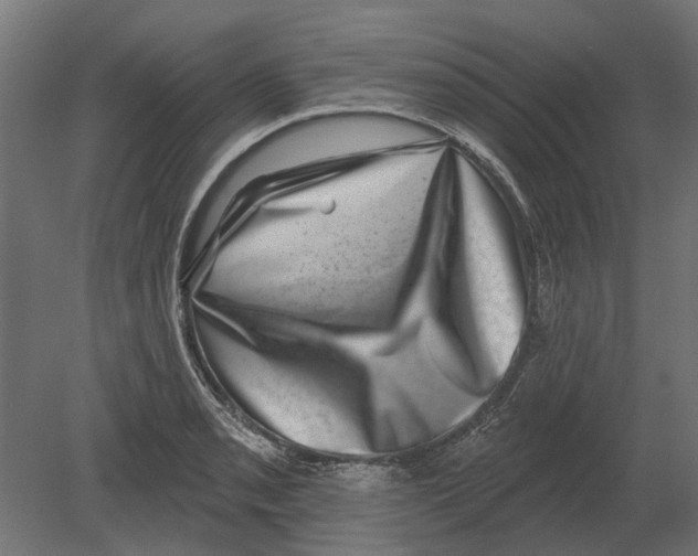 X0000080721085200701121837