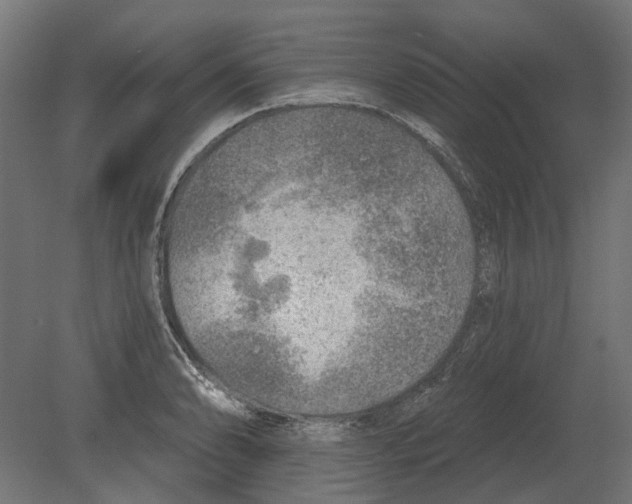 X0000080721086200701121837