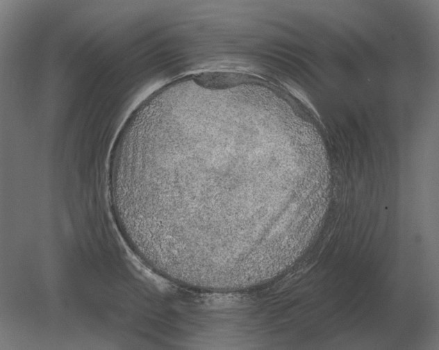 X0000080721087200701121837