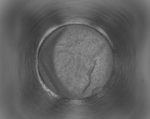 X0000080721088200701121837