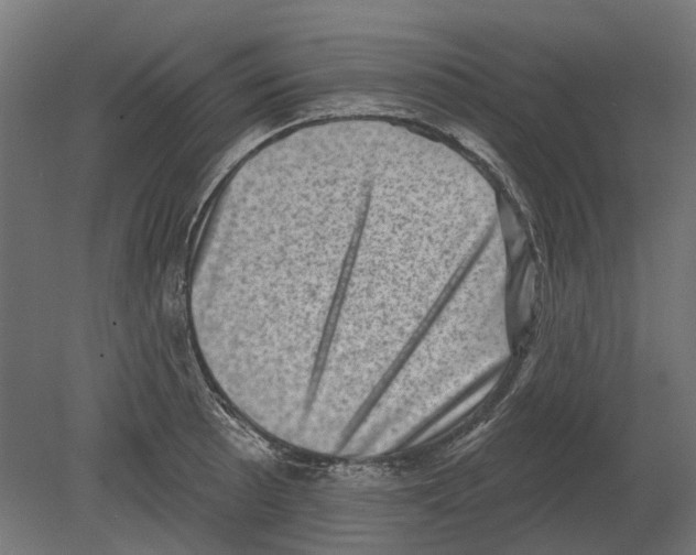 X0000080721089200701121837