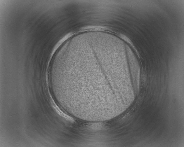 X0000080721090200701121837