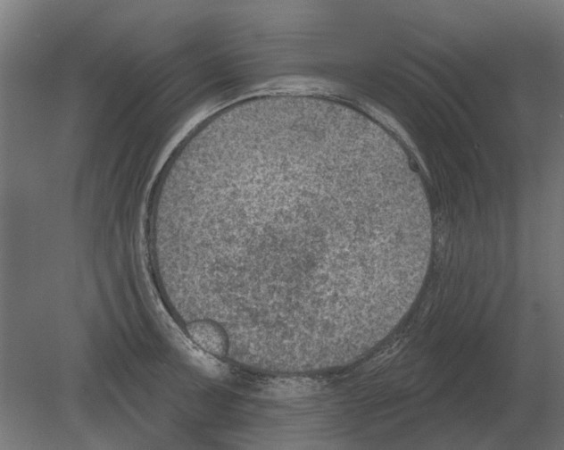 X0000080721091200701121837