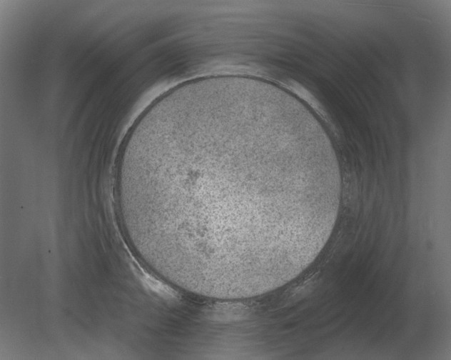 X0000080721094200701121837